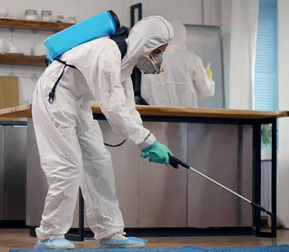 Pest Control services in canberra